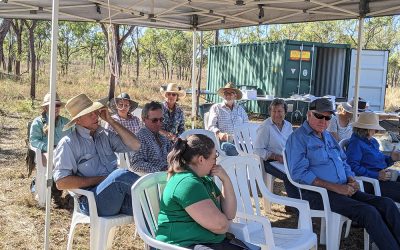 Ready for action. Christine Jones and participants relax in the shade before the workshop begins.