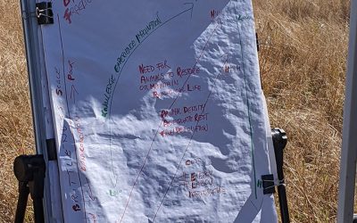 Participants at the workshop discussed the balancing act needed to manage pasture.