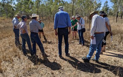 Christine Jones and workshop participants go through the process of assessing groundcover and end-of-season pasture.