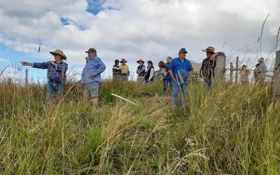 Landholders discuss the effectiveness of their approach to controlling GRT during the field walk.