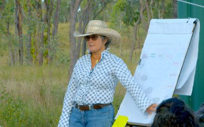 Mt Pleasant landholder Garlone Moulin provides an overview of the management changes the Gordon-Moulin family have implemented to improve pasture diversity and biodiversity.