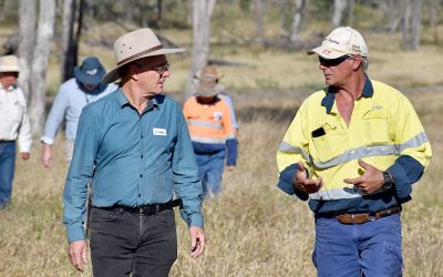 John Rolfe, CQU (left) and Todsure landholder Barry Collett.