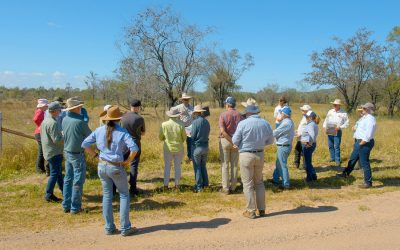 The MIP steering committee visited four BBB properties on a tour to inspect some of the completed works.
