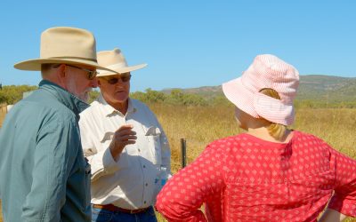 Project panel member Bob Harris (centre) talks to steering committee member Roger Landsberg and DES' Elisa Nichols.