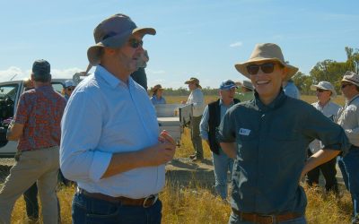 Mark Hickman, DAF, chats with Rae Schlecht, DES.