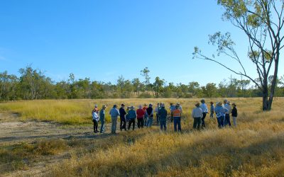 First stop for the steering committee is Todsure, a property that has undertaken a range of small scale erosion rehabilitation works, and a member of the Scottville Cluster Group.