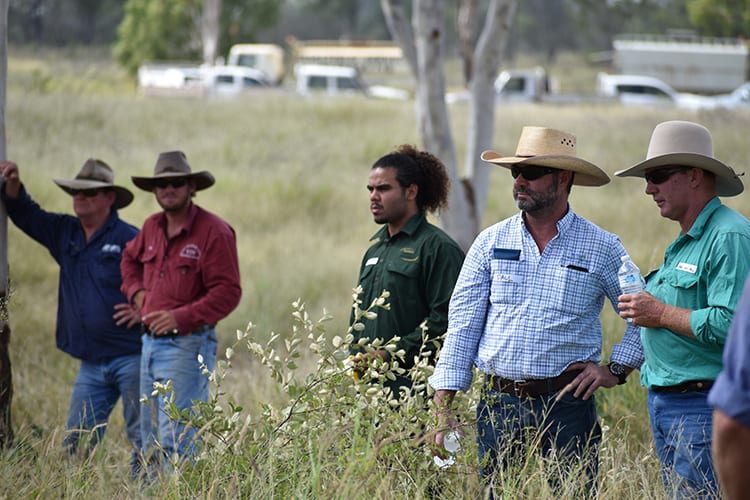 Participants at the field day, held at Sonoma Station.