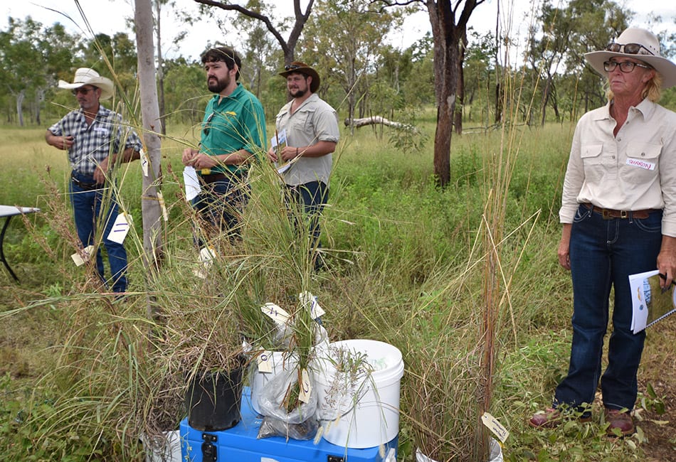 Field day participants were challenged to a plant ID quiz.