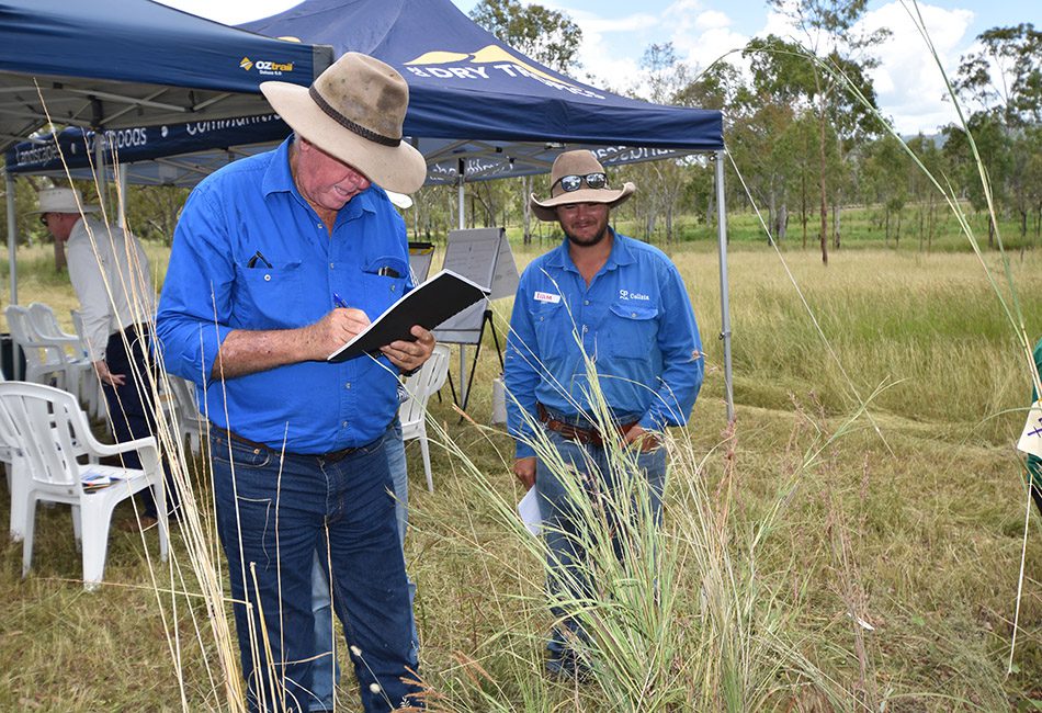 Field day participants were challenged to a plant ID quiz.