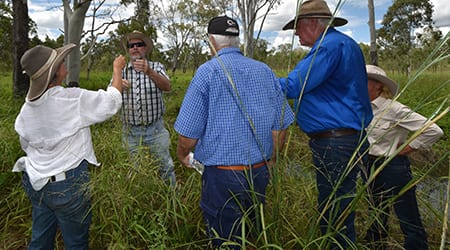 Field day participants undertake a field walk to identify plant species.
