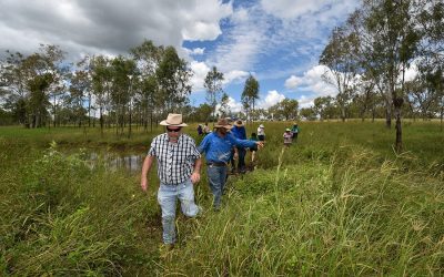 Led by Dr Greg Calvert, field day participants undertake a field walk to identify plant species.