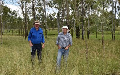 Rod Barrett, Sallisbury Plains, and Graham Armstrong, Landcare Whitsundays.
