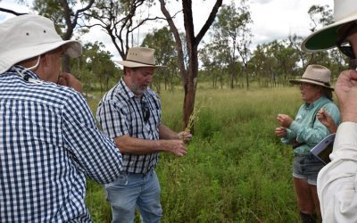 Dr Greg Calvert discusses plant structure and species.