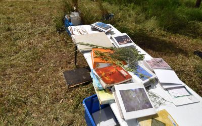 Mt Pleasant owners Jamie Gordon and Garlone Moulin have collated a rich catalogue of biodiversity species (plant and animal) that was found on the property over the years.
