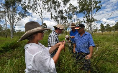 Garlone Moulin, Mt Pleasant, Dr Greg Calvert, Garry Reed, Reeds Farm, and Rod Barrett, Salisbury Plains.