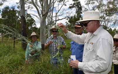 Field day participants undertake a field walk to identify plant species. Pictured from left, Joan Gordon, Dr Greg Calver, Garry Reed, Sharon Yentsch (obscured) and at front, Mark O'Connor.