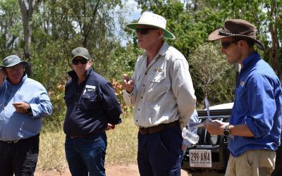 Pictured (from left) are: Gerard Dogao, PGG Wrightson Seeds, Andrew Burrows, NQ Dry Tropics LDC staff Mark O'Connor and Rodger Walker at at the LDC-MLA Integrated Weed Management field day held at Sonoma Station.