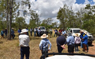 Field day attendees hear about the merits of the Epple Skattergun, an air compressor-powered device for shooting herbicide pellets for control of prickly acacia and other weeds.