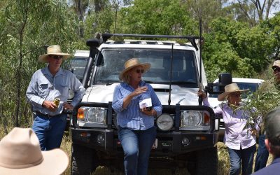NQ Dry Tropics LDC Senior Grazing Officer Adrienne Hall provides an overview of the Bowen River Cluster Group's efforts in trialling a skattergun, Quik spray unit and mister to control weeds.