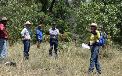 Shane Watts, Sonoma Station, and host of the LDC-MLA Integrated Weed Management field day talks about the various weed control methods he is trialling, including the splatter gun, pictured.