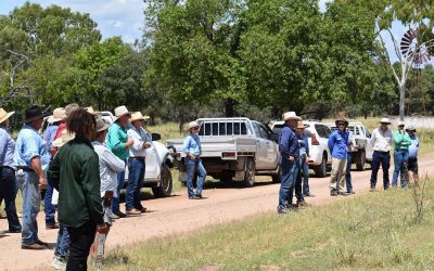 Participants at the LDC-MLA Integrated Weeds Management field day held at Sonoma Station.