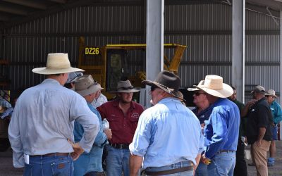Participants at the field day.