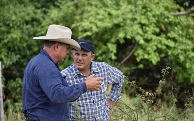 Barry O'Sullivan, Glenalpine Station and Chair of the MLA Integrated Weeds Management Group pictured with woody weed specialist Shane Campbell, University Queensland.