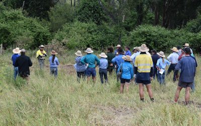 Field day participants discuss weed management approaches on creek and riverbanks.