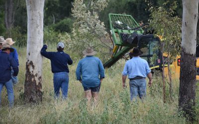 Barry O'Sullivan, Glenalpine Station, demonstrates a tree puller that grabs hold of small trees then pulls them up and out completely, roots and all. Landholders indicated due to the powerful pulling performance of the attachment, they can clear large areas effectively, or use for more selective removal of saplings.