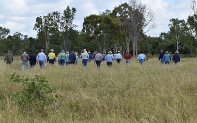 Field day participants.