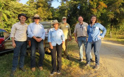 Pictured (from left) are: LDC Land Management Support Coordinator Rodger Walker, Mackay Natural Environment Centre’s Carolyn Wilkes, Reef Catchments’ Julia Kasiske, Ecologist from Pioneer Catchment Landcare Peter Alden, Pioneer Catchment Landcare Project Officer Tom Crow and Pioneer Catchment Landcare Coordinator Nichole Zara.