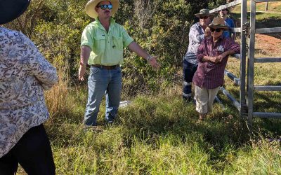 Jim Fletcher DAF explaining the typical growth habitat of GRT to (from left) Kym Lush, Steve Pocock and Owen Burns..