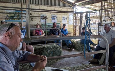 Wayne Vogler DAF explaining the intracacies of GRT mgmt inside the refurbished old dairy shed.