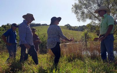 Jim Fletcher DAF explaining the growth habit of GRT beside an isolated GRT stand on the Cloudbreak property to Debra Channell and Glyn Young and Kim Lush and Sharon McFadzen.