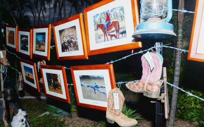 Winners and Runner-up entries of the LDC photography competition on display at the Beef, Buckles & Boots event