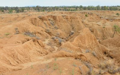 An example of a potential gully remediation site at Havilah Station. LDC contracted Griffith University to deliver a report that characterises and prioritises the highest sediment producing gullies in the BBB catchment. This process revealed there are 22,311 active gullies covering 4,621ha in the Bowen and Bogie catchments.