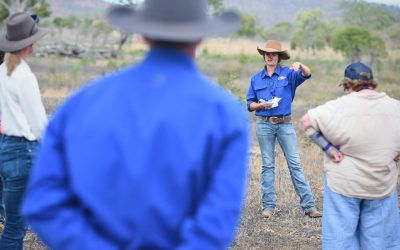 Grazing Field Officer Sheridan Callcott talks about the LDC project.