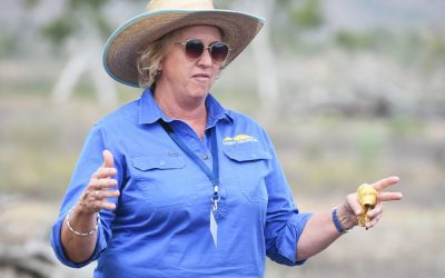 NQ Dry Tropics' Senior Grazing Officer for the LDC project Adrienne Hall.