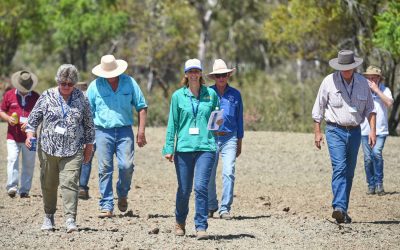 Inspecting the second gully site on Glen Bowen.