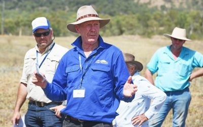 LDC Project Manager Rod Kerr at the Glen Bowen Gully 1 remediation site.