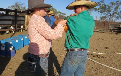Holly Watts (Sonoma) helps Wayde O'Sullivan (Glenalpine) glove up for a practical session.