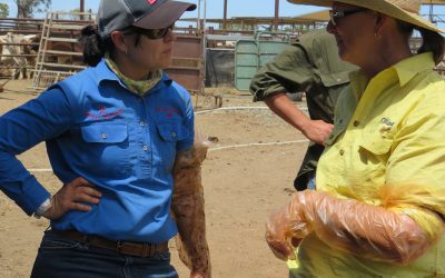 Bec Lathwell (Havilah) and Rowena Haucke (Heidelberg) compare notes.