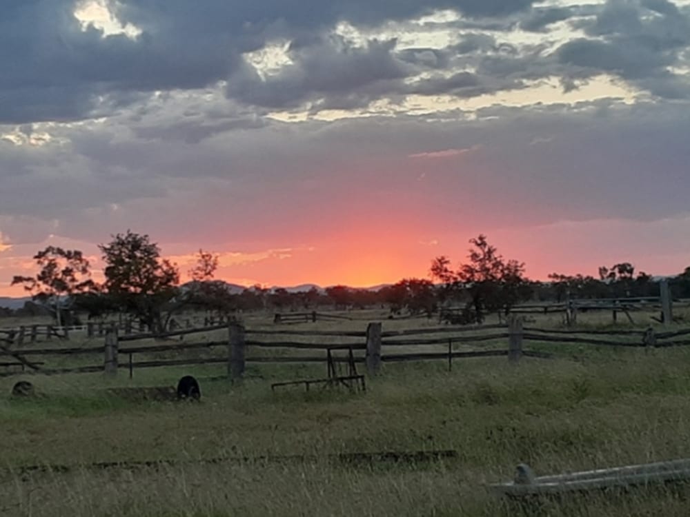 z_Sunset_yards