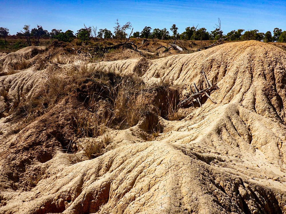 Gully erosion