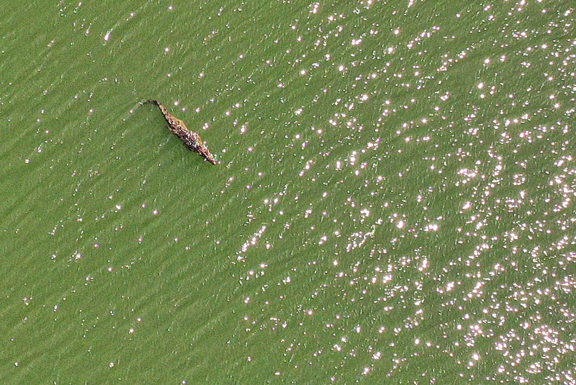 Bowen River resident