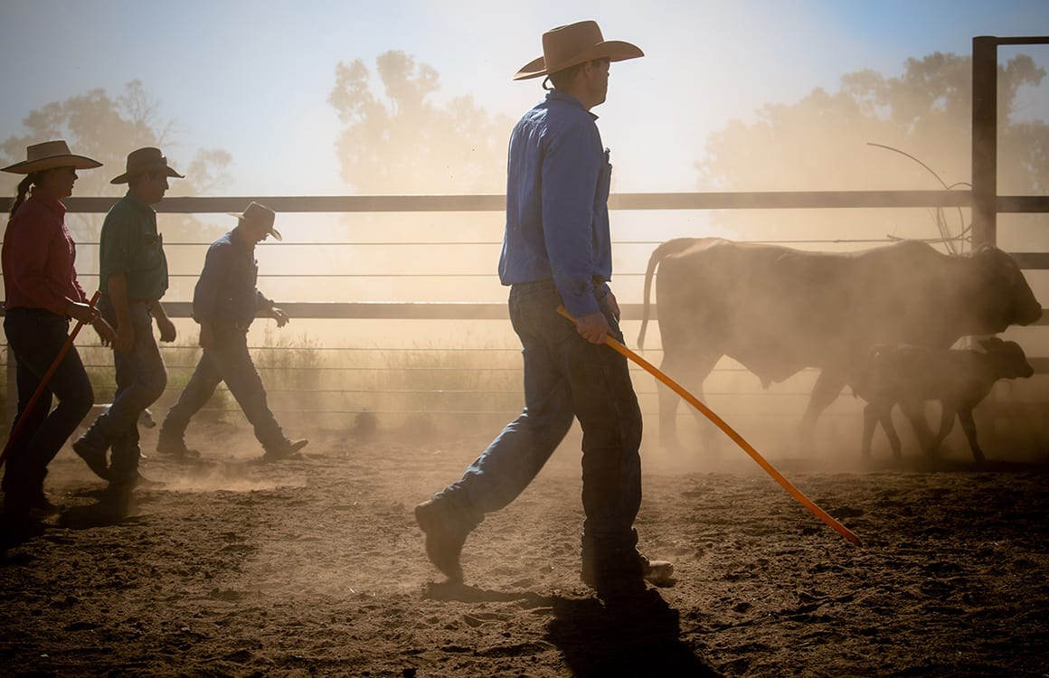 Kick the dust up