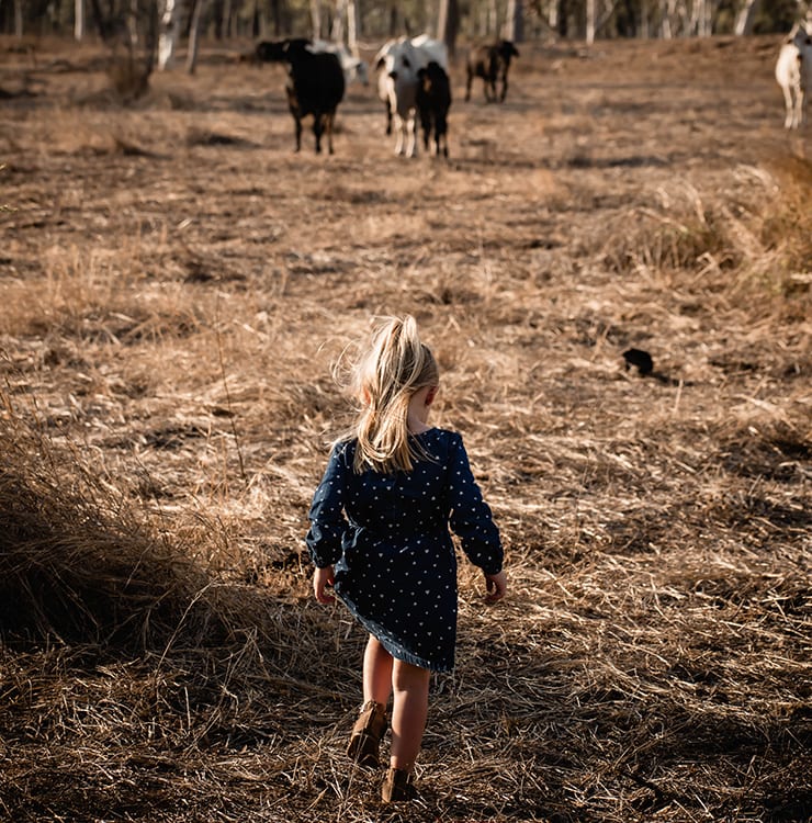 Cowgirl heart