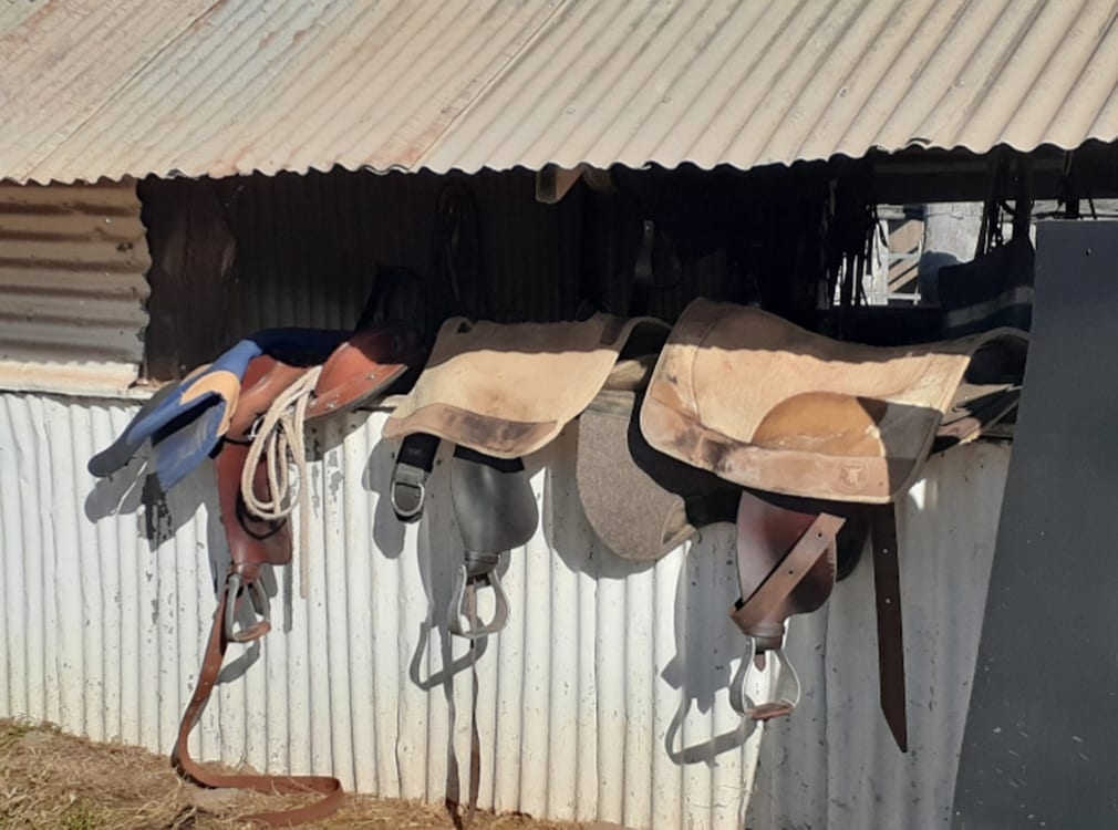 Saddle Shed