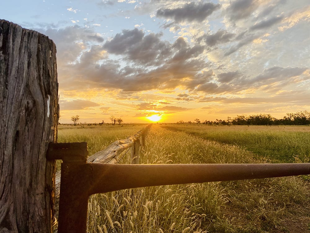 Sunset paddock