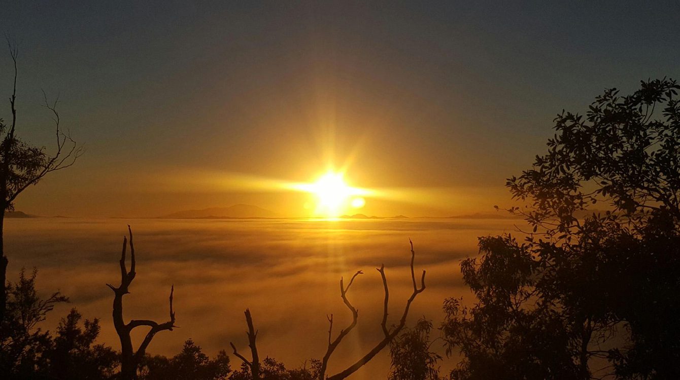 Morning fog